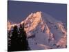 Sunset on Mount Rainier-John McAnulty-Stretched Canvas