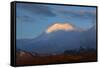 Sunset on Mt. Ngauruhoe, Tongariro National Park, Central Plateau, North Island, New Zealand-David Wall-Framed Stretched Canvas