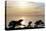 Sunset on Ocean, La Jolla, California, USA-Jaynes Gallery-Stretched Canvas
