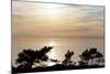 Sunset on Ocean, La Jolla, California, USA-Jaynes Gallery-Mounted Photographic Print
