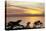 Sunset on Ocean, La Jolla, California, USA-Jaynes Gallery-Stretched Canvas