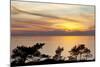 Sunset on Ocean, La Jolla, California, USA-Jaynes Gallery-Mounted Photographic Print