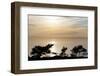 Sunset on Ocean, La Jolla, California, USA-Jaynes Gallery-Framed Photographic Print