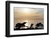 Sunset on Ocean, La Jolla, California, USA-Jaynes Gallery-Framed Photographic Print