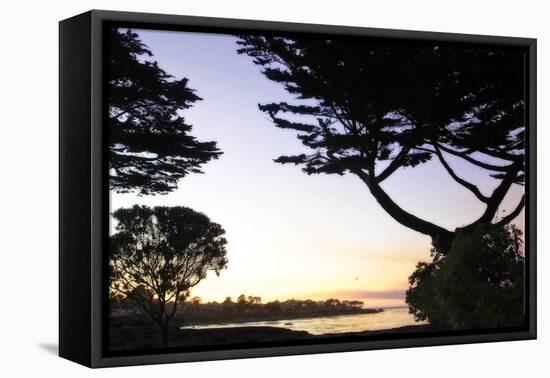 Sunset on Pacific Grove-Alan Hausenflock-Framed Stretched Canvas