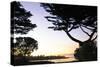 Sunset on Pacific Grove-Alan Hausenflock-Stretched Canvas