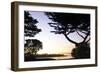 Sunset on Pacific Grove-Alan Hausenflock-Framed Photographic Print