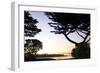 Sunset on Pacific Grove-Alan Hausenflock-Framed Photographic Print