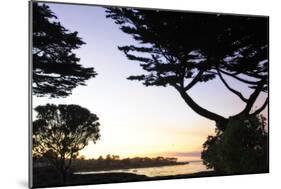 Sunset on Pacific Grove-Alan Hausenflock-Mounted Photographic Print