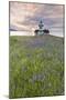 Sunset on Patos Island Lighthouse, San Juan Islands, Washington, USA-Jaynes Gallery-Mounted Photographic Print