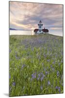 Sunset on Patos Island Lighthouse, San Juan Islands, Washington, USA-Jaynes Gallery-Mounted Photographic Print