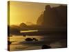 Sunset on Point of Arches, Olympic National Park, Washington, USA-Adam Jones-Stretched Canvas