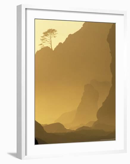 Sunset on Point of Arches, Olympic National Park, Washington, USA-Adam Jones-Framed Photographic Print