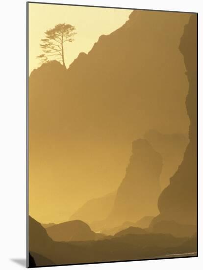 Sunset on Point of Arches, Olympic National Park, Washington, USA-Adam Jones-Mounted Photographic Print