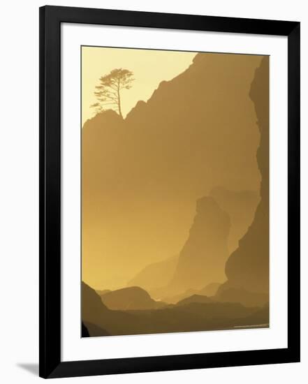 Sunset on Point of Arches, Olympic National Park, Washington, USA-Adam Jones-Framed Photographic Print