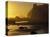 Sunset on Point of Arches, Olympic National Park, Washington, USA-Adam Jones-Stretched Canvas