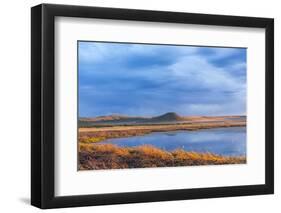 Sunset on Pond at Freezeout Lake Wma Near Fairfield, Montana, Usa-Chuck Haney-Framed Photographic Print