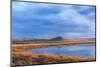 Sunset on Pond at Freezeout Lake Wma Near Fairfield, Montana, Usa-Chuck Haney-Mounted Photographic Print