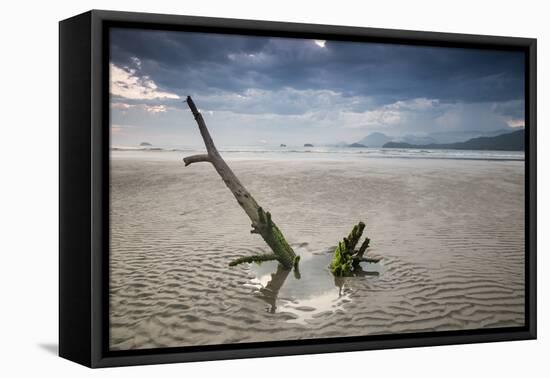 Sunset on Praia Da Fazenda Beach-Alex Saberi-Framed Stretched Canvas