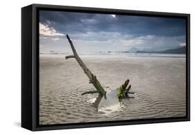 Sunset on Praia Da Fazenda Beach-Alex Saberi-Framed Stretched Canvas