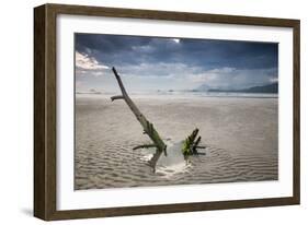 Sunset on Praia Da Fazenda Beach-Alex Saberi-Framed Photographic Print