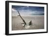 Sunset on Praia Da Fazenda Beach-Alex Saberi-Framed Photographic Print