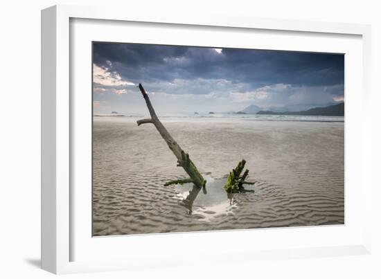 Sunset on Praia Da Fazenda Beach-Alex Saberi-Framed Photographic Print