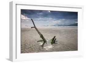 Sunset on Praia Da Fazenda Beach-Alex Saberi-Framed Photographic Print