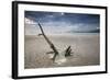 Sunset on Praia Da Fazenda Beach-Alex Saberi-Framed Photographic Print