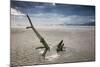 Sunset on Praia Da Fazenda Beach-Alex Saberi-Mounted Photographic Print