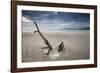 Sunset on Praia Da Fazenda Beach-Alex Saberi-Framed Photographic Print