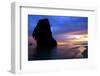 Sunset on Pranang Beach, Railay, Thailand-Dan Holz-Framed Photographic Print