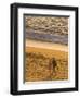 Sunset on Puerto Vallarta Beach, Puerto Vallarta, Jalisco, Mexico, North America-Michael DeFreitas-Framed Photographic Print