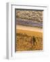 Sunset on Puerto Vallarta Beach, Puerto Vallarta, Jalisco, Mexico, North America-Michael DeFreitas-Framed Photographic Print