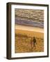 Sunset on Puerto Vallarta Beach, Puerto Vallarta, Jalisco, Mexico, North America-Michael DeFreitas-Framed Photographic Print