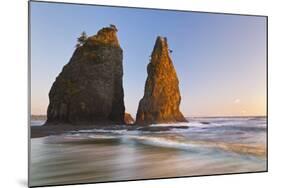 Sunset on Rialto Beach and Sea Stacks, Olympic NP, Washington, USA-Jaynes Gallery-Mounted Photographic Print