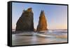 Sunset on Rialto Beach and Sea Stacks, Olympic NP, Washington, USA-Jaynes Gallery-Framed Stretched Canvas