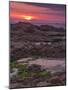 Sunset on rocky coast-enricocacciafotografie-Mounted Photographic Print