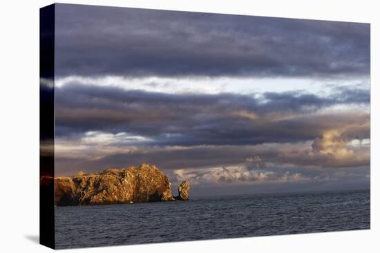 Sunset on rocky outcropping, Espanola Island, Galapagos Islands, Ecuador.-Adam Jones-Stretched Canvas