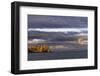 Sunset on rocky outcropping, Espanola Island, Galapagos Islands, Ecuador.-Adam Jones-Framed Photographic Print