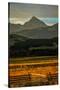 Sunset on San Juan Mountains, Colorado, USA on San Juan Mountains, Colorado, USA-null-Stretched Canvas