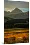 Sunset on San Juan Mountains, Colorado, USA on San Juan Mountains, Colorado, USA-null-Mounted Premium Photographic Print