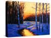 Sunset on Sawkill Creek in Winter-Patty Baker-Stretched Canvas