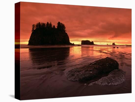 Sunset on Sea Stacks of Second Beach, Olympic National Park, Washington, USA-Jerry Ginsberg-Stretched Canvas