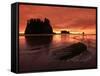 Sunset on Sea Stacks of Second Beach, Olympic National Park, Washington, USA-Jerry Ginsberg-Framed Stretched Canvas