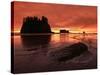 Sunset on Sea Stacks of Second Beach, Olympic National Park, Washington, USA-Jerry Ginsberg-Stretched Canvas