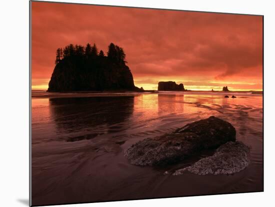 Sunset on Sea Stacks of Second Beach, Olympic National Park, Washington, USA-Jerry Ginsberg-Mounted Photographic Print