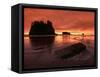 Sunset on Sea Stacks of Second Beach, Olympic National Park, Washington, USA-Jerry Ginsberg-Framed Stretched Canvas