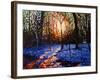 Sunset on Snow, 2010-Helen White-Framed Giclee Print