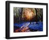 Sunset on Snow, 2010-Helen White-Framed Giclee Print